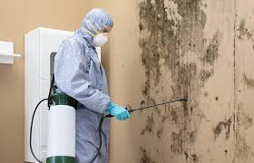 Best Dehumidification Services  in Christiana, TN